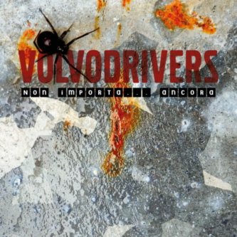 Copertina dell'album non importa...ancora, di VOLVODRIVERS