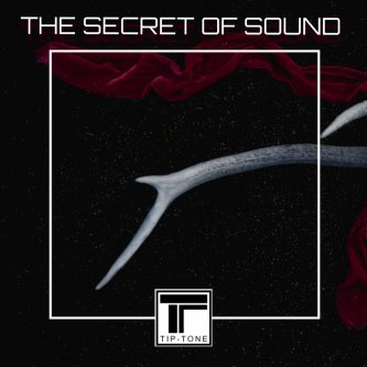 Copertina dell'album The Secret of Sound, di Tip Tone