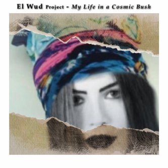 Copertina dell'album My Life in a Cosmic Bush, di El Wud