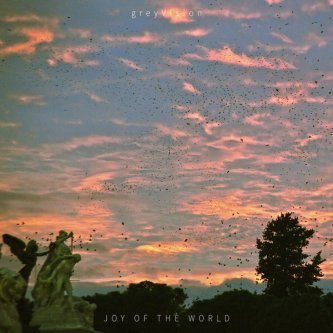 Copertina dell'album Joy Of The World, di greyVision
