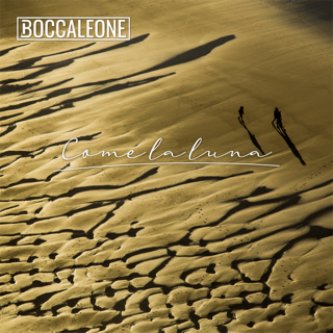 Copertina dell'album Come la luna, di Boccaleone