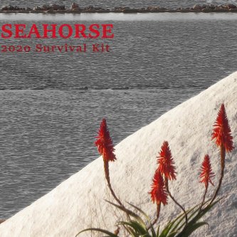 Copertina dell'album Seahorse 2020 Survival Kit, di Baobab Romeo