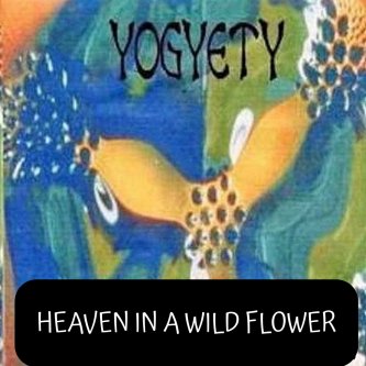 heaven in a wild flower