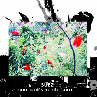 Copertina dell'album The Bones Of The Earth, di Suez