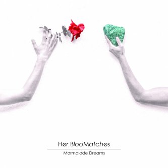 Copertina dell'album Marmalade Dreams, di Her BlooMatches