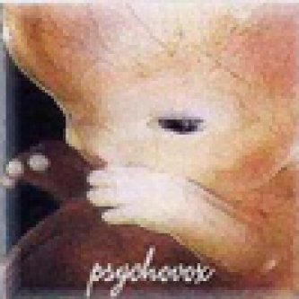 Copertina dell'album La Luce non ha Ombre EP, di Psychovox