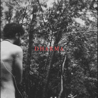 Copertina dell'album Dharma, di solo hurricane