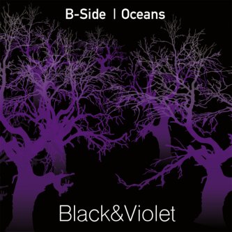 Black&Violet