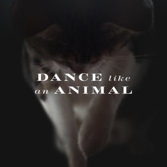 Dance like an Animal feat. Grecale