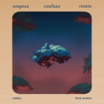 Copertina dell'album sospeso, confuso, rinato, di Luca Notaro