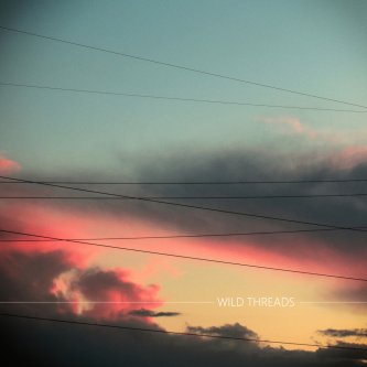 Copertina dell'album Wild Threads, di Gopnik Bog