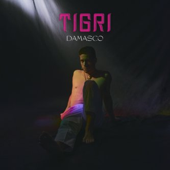 Copertina dell'album Damasco, di TIGRI