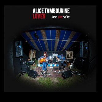 Copertina dell'album Forse Non Sei Tu, di Alice Tambourine Lover