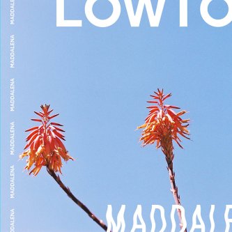 Copertina dell'album Maddalena, di Lowtopic