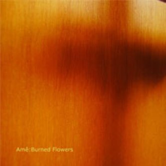 Copertina dell'album Burned Flowers, di Ame