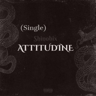 Attitudine (single)