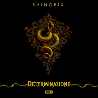 Copertina dell'album Determinazione, di SHINOBIX AKA MR FANTASY PRODUCTION