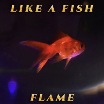 Copertina dell'album Like A Fish, di Flame