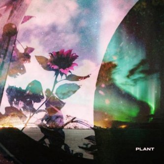 Copertina dell'album Plant, di Atomic Love Disorder