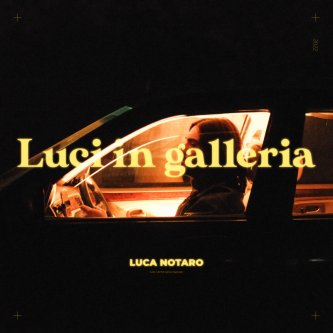 Copertina dell'album Luci in galleria, di Luca Notaro