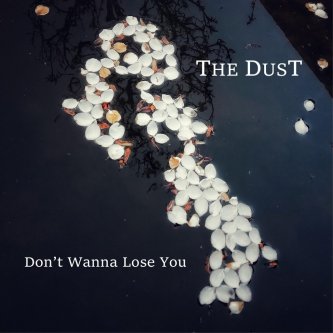 Copertina dell'album Don't Wanna Lose You, di The DusT