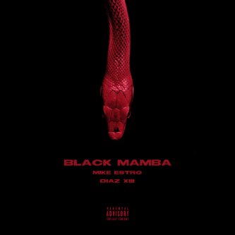 Copertina dell'album Black Mamba, di Mike Estro