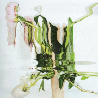Copertina dell'album NaN, di Hate Moss