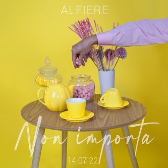 Copertina dell'album Non importa, di Alfiere