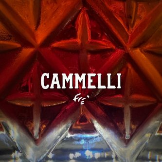 Copertina dell'album CAMMELLI, di Frè