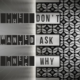 Copertina dell'album Don't Ask Why, di The Wanted Ones