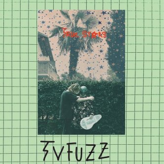 Copertina dell'album True Stars, di TVFUZZ