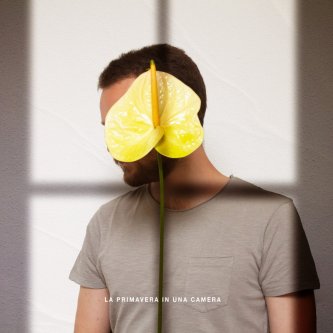 Copertina dell'album La primavera in una camera, di Il Grigio