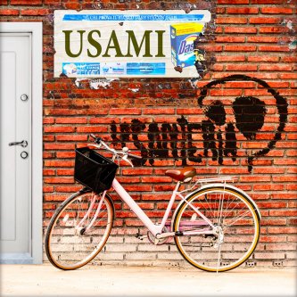 Copertina dell'album Usami, di La Santeria
