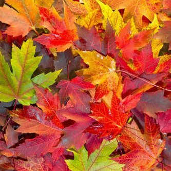 Nei giorni, nelle stagioni