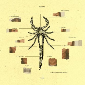 Copertina dell'album SCORPIO, di Gnudym