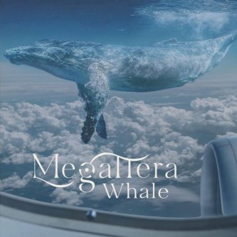 Copertina dell'album Whale, di Megattera