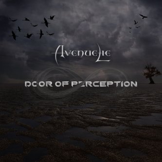 Copertina dell'album Door of Perception, di AvenueLie