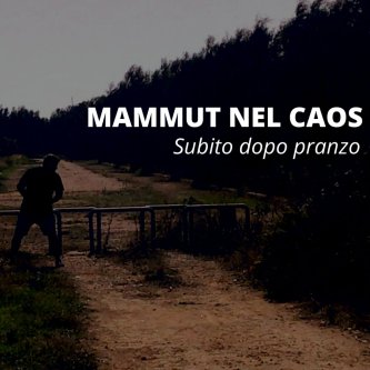 Copertina dell'album SUBITO DOPO PRANZO, di Mammut Nel Caos