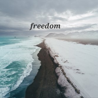 Copertina dell'album Freedom, di RainVain