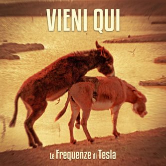 Copertina dell'album Vieni qui, di Le Frequenze di Tesla