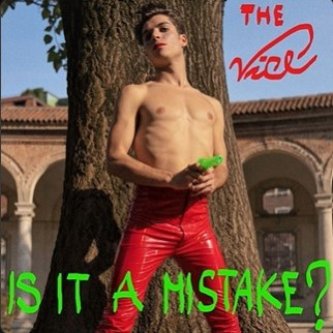 Copertina dell'album Is It a Mistake?, di The Vice