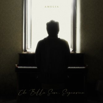 Copertina dell'album Che bella sera, signorina, di Amelia