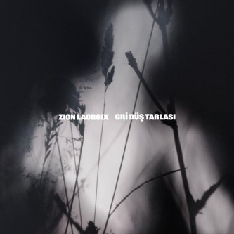 Gri Düş Tarlası