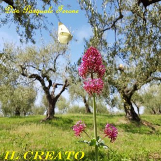 Copertina dell'album Il Creato, di Don Pasquale Ferone