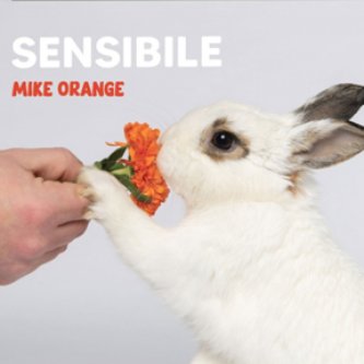 Copertina dell'album SENSIBILE, di Mike Orange
