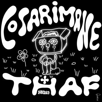 Copertina dell'album Cosa Rimane, di Thaf