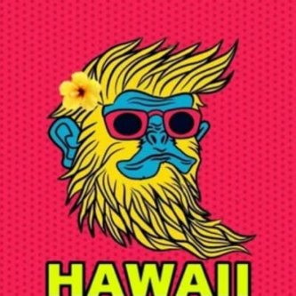 Hawaii 5.0