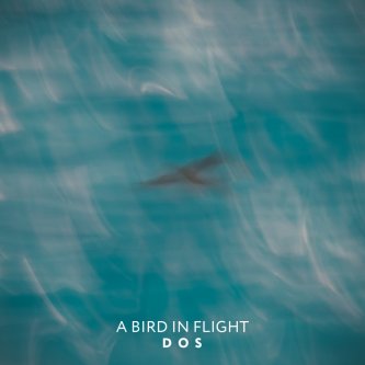 Copertina dell'album A bird in flight, di DOS Duo Onirico Sonoro