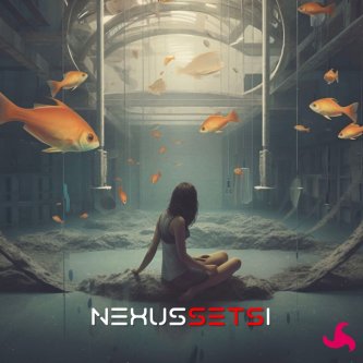 Copertina dell'album Nexus Sets I, di Fabio Armani