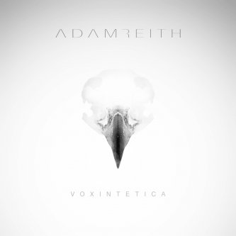 Copertina dell'album Voxintetica, di Adam Reith Music